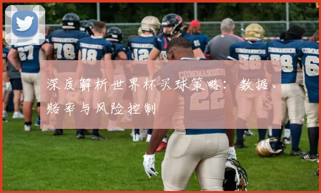 深度解析世界杯买球策略：数据、赔率与风险控制
