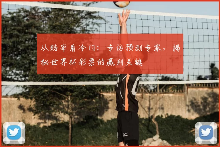 从赔率看冷门:专访预测专家,揭秘世界杯彩票的赢利关键