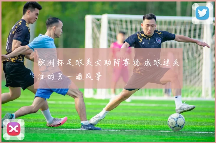 欧洲杯足球美女助阵赛场 成球迷关注的另一道风景
