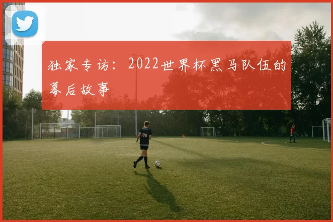 独家专访：2022世界杯黑马队伍的幕后故事