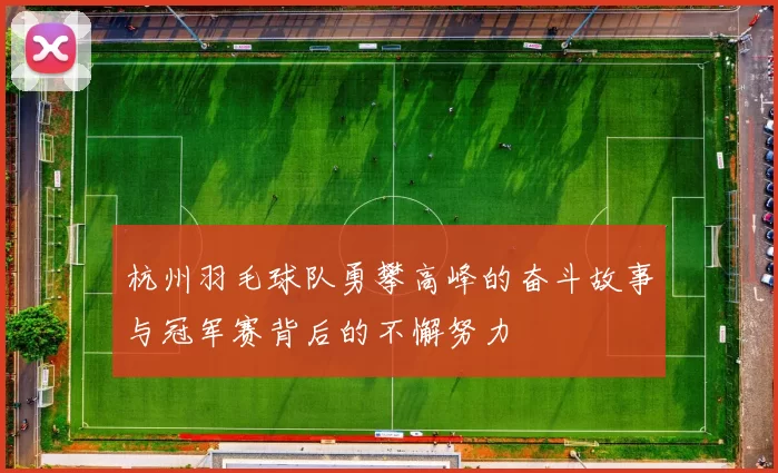 杭州羽毛球队勇攀高峰的奋斗故事与冠军赛背后的不懈努力