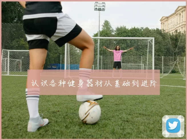 认识各种健身器材从基础到进阶