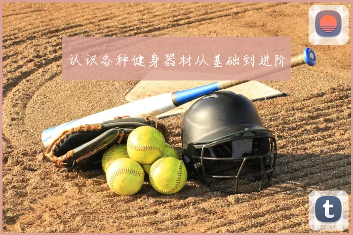 认识各种健身器材从基础到进阶