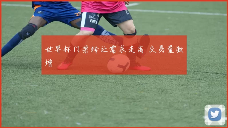 世界杯门票转让需求走高 交易量激增