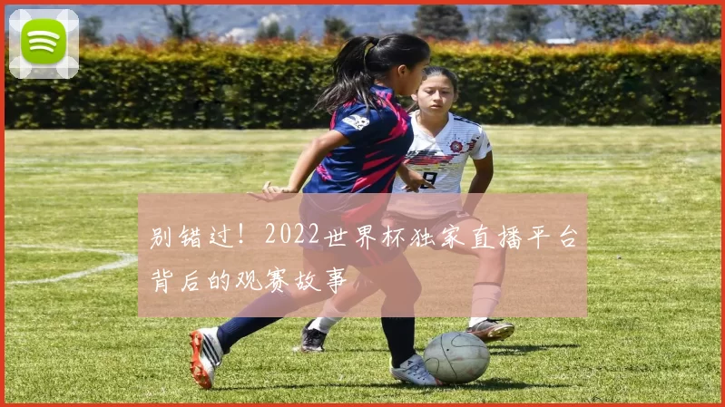别错过!2022世界杯独家直播平台背后的观赛故事