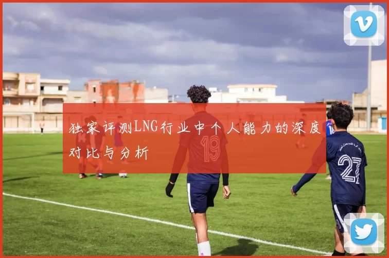 独家评测LNG行业中个人能力的深度对比与分析
