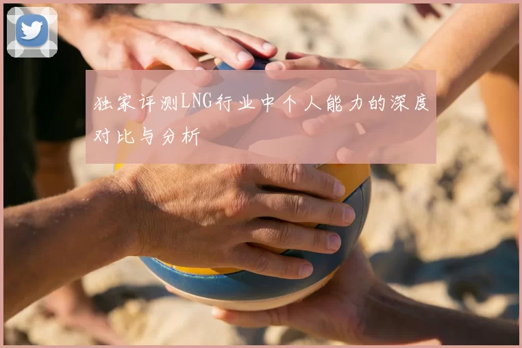 独家评测LNG行业中个人能力的深度对比与分析