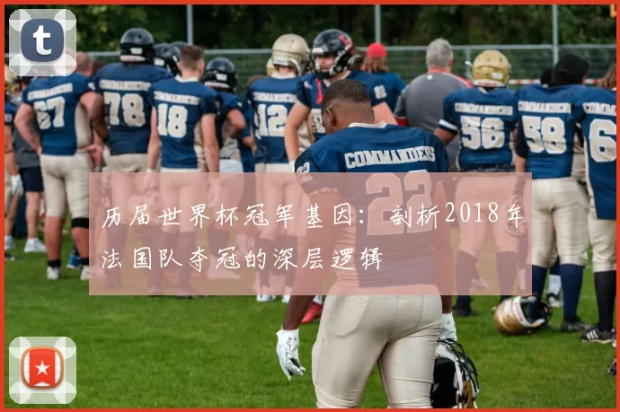 历届世界杯冠军基因：剖析2018年法国队夺冠的深层逻辑