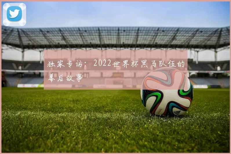独家专访：2022世界杯黑马队伍的幕后故事