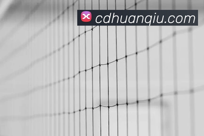 App 示例图